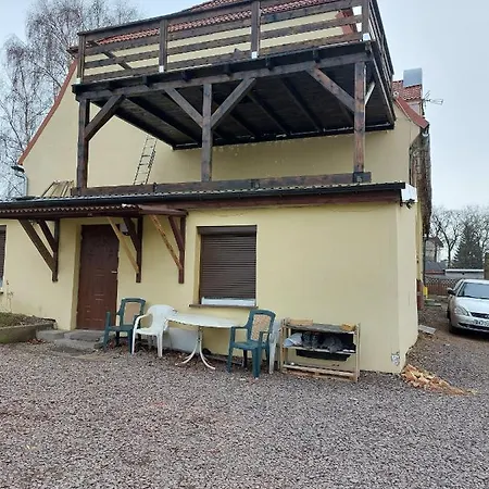 Ali Alloggio in famiglia *