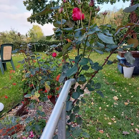 Ali Alloggio in famiglia