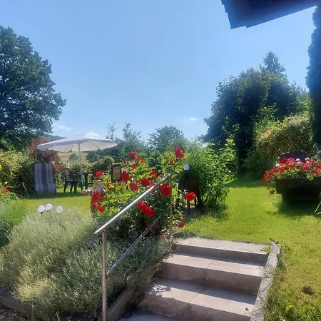 Ali Alloggio in famiglia Wałbrzych